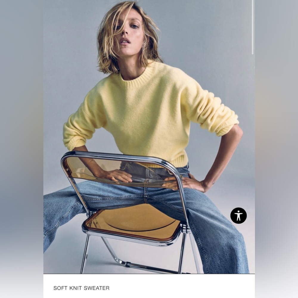 Zara sweater